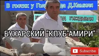 Приехали Голубятнику Ака Комилю Бухара Гиждуван,We arrived to the Dovecote Aka Komil Bahura Gijdyvan