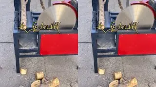 #Automatic Log Saw #Log Saw #Wood Cutting Wizard #Wood Processing #Cedar Wood