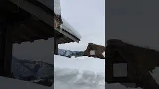 heavy snow on buildings | Shiragawa | Japan 🗾 #shirakawago #snofall #snow #japantravel