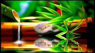 Sweet Night Healing: Your Key to Ultimate Stress Relief