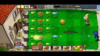 gambling