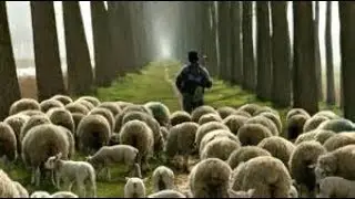 what is true obedience?