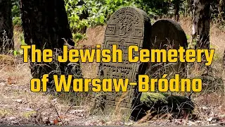 Forgotten Jewish Cemetery of Br&oacute;dno &ndash; Cimeti&egrave;re juif m&eacute;connu dans Praga, Warsaw