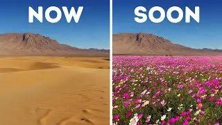 Natural Phenomena That Will Leave You Blinking