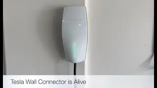 Tesla Gen 3 Wall Connector Installed