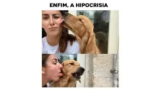 MEMES EM IMAGENS - ENFIM A HIPOCRISIA