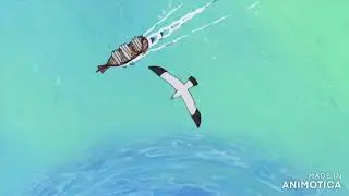 Luffy in the Barrel