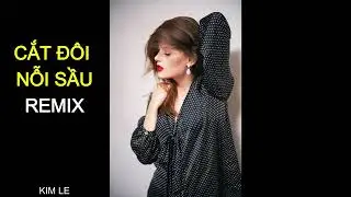 CẮT ĐÔI NỖI SẦU REMIX KIM LE