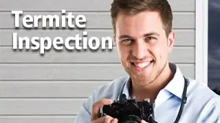 Termite Escrow Inspection