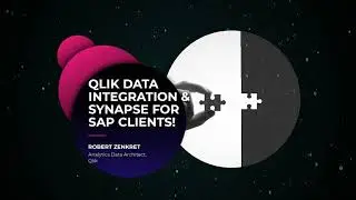 Qlik Data Integration & Synapse for SAP clients!