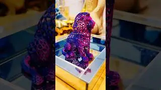 Lion 3D voronoi