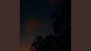Thoughts After Midnight