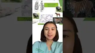 VET PARA 1 | Stenoxenous Parasite vs Euryxenous Parasite  | Student Output (Yandog)
