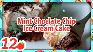 How to make Mint Chocolate Chip Ice Cream Cake Recipe