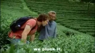 Pluck It