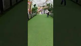 #vlogadventure