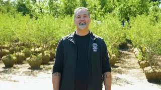 Sheridan Nurseries: Trees and Shrubs w/John