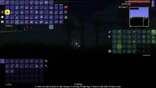 Destroyer TMP #2 bone age