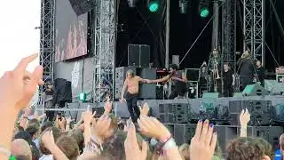 IGGY POP -  I wanna be your dog