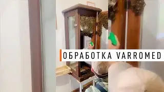 Обработка от клеща при помощи VarroMed - Парк Плюс