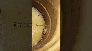 How to collect surface runoff rainwater ?