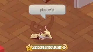 Animal Jam be like....                        play wild