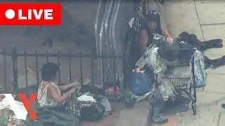 LIVE | View of the Homeless DC as Trump Announces - Washington, DC will be LIBERATED today | VERTEX