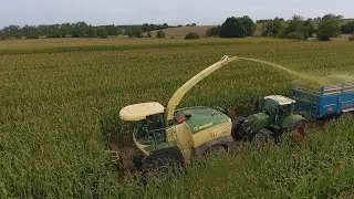 KRONE BIGx 530 à l'ensilage | FENDT | MAUPU