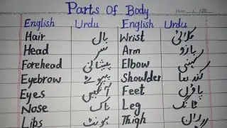 Parts of body name in English and Urdu - Parts of body - jism k hisso k name seekhen English Urdu me