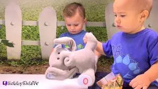Animated PEEKABOO Animal Toy Review with HobbyKidsTV
