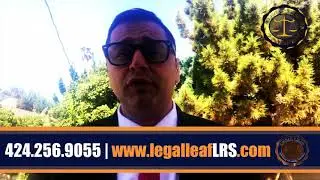 Family & Divorce Attorney Los Angeles CA