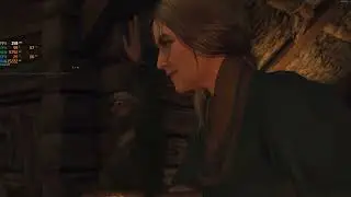 The Witcher 3 - DX11 Performance using 