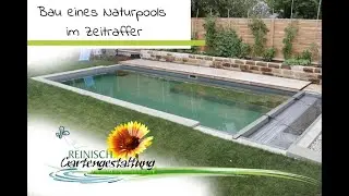 Naturpool Bau im Zeitraffer