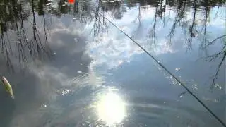 Catching Fish Without Bait- Hook Only