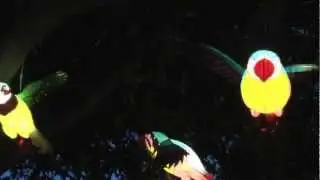 1001 Adventure Trips | Auckland Travel Minute | Chinese Lantern Festival Auckland New Zealand