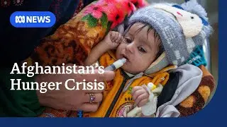 Afghanistan's children suffering from severe malnutrition | ABC NEWS