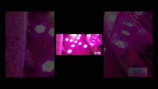 9led par light pink colour ranning on dmx 512 controlar #leddriver #dj #brightness