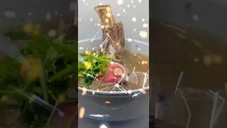 Vietnamese Food on a different level