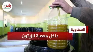 تعرف على مراحل عصر الزيتون وأسعار الزيت وأجودها على لسان مهنيين بالعطاوية