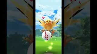 Zapdos Raid in Pok&eacute;mon Go!! #raid #pokemongo #shortsfeed