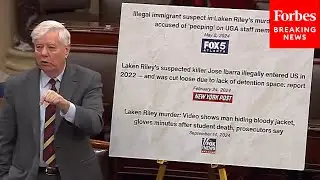'You Literally Should Go To Jail': Lindsey Graham Rails Against Sanctuary City Policies