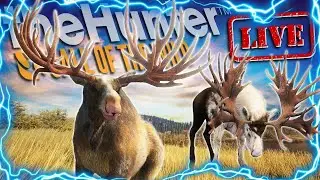 The 7 Day Great One Moose Grind Begins! The Hunter Call of the wild