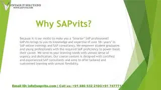 SAP Simple Logistics Online Training