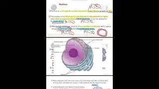 Biology 3(part1)