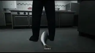 You are a fish, you must escape the kitchen