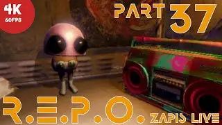 Repo - 🔴 Zapis live - #37