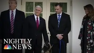 President Donald Trump Honors &lsquo;Hero Dog&rsquo; Injured In ISIS Raid At White House | NBC Nightly News