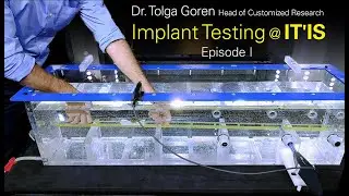 Implant Safety Evaluation at IT'IS &ndash; Episode I: Generation of the PiX model