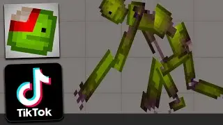 Melon Playground TIKTOK #11 | Melon on TIKTOK