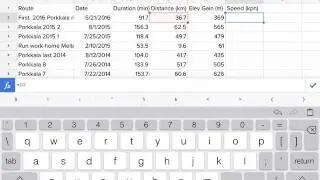Spreadsheet editing with Typefinity in short mode